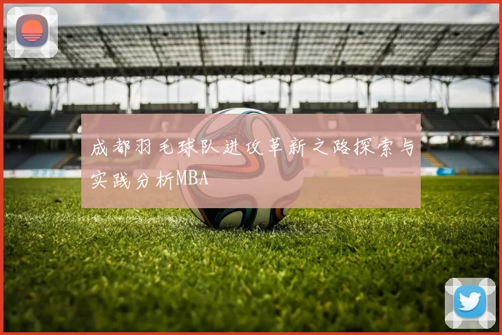 成都羽毛球队进攻革新之路探索与实践分析MBA