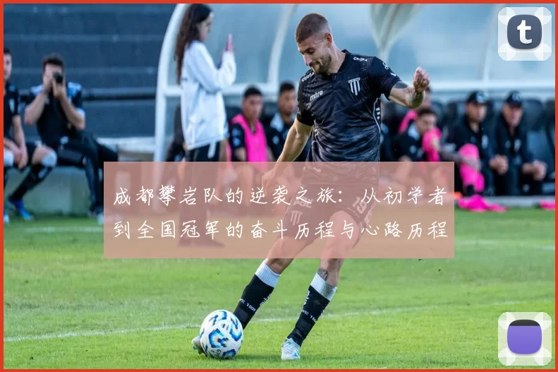 成都攀岩队的逆袭之旅：从初学者到全国冠军的奋斗历程与心路历程MBA