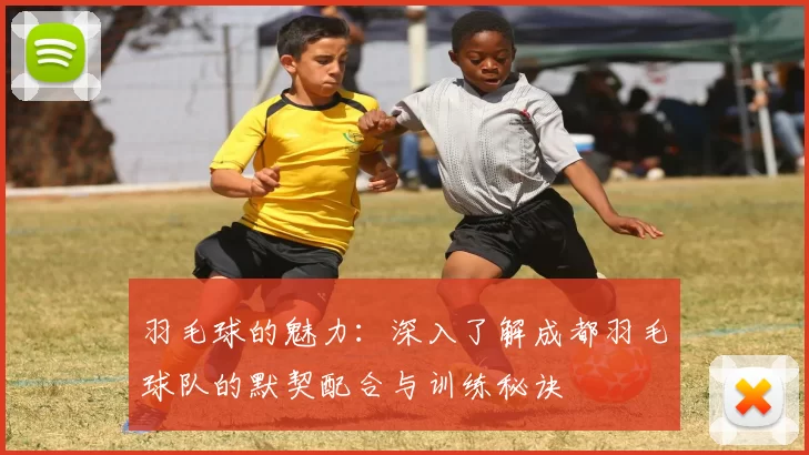 羽毛球的魅力：深入了解成都羽毛球队的默契配合与训练秘诀