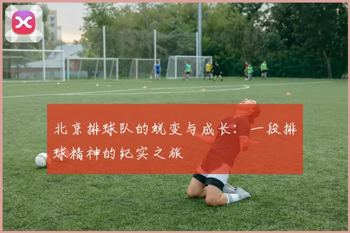 北京排球队的蜕变与成长：一段排球精神的纪实之旅